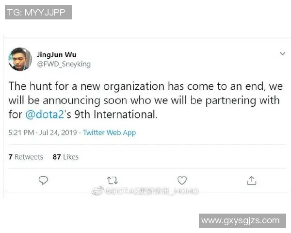 DOTA2深度解析WE战队的运营策略与成功之道